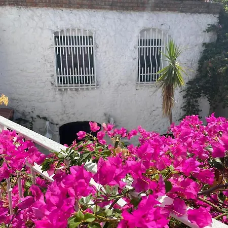 Aparthotel 8