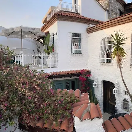 8 아파트호텔 말마리스