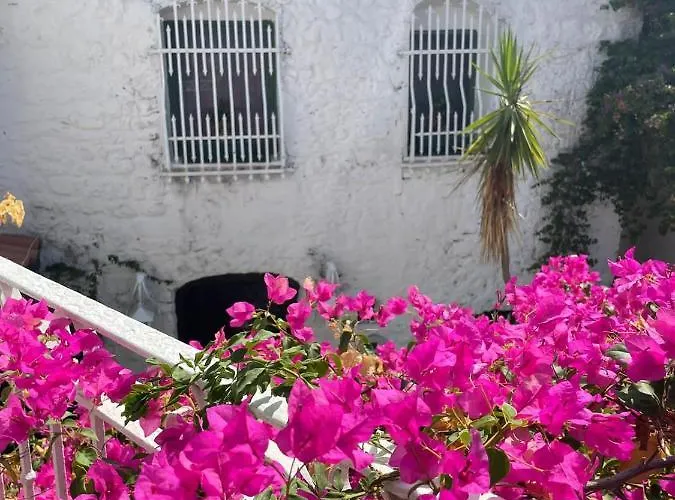 מלון דירות 8