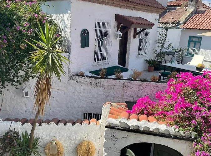 8 מלון דירות